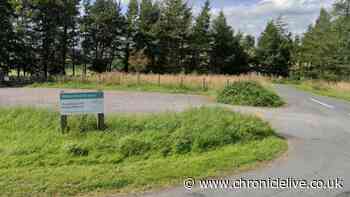 Firearm found by member of the public in North East nature reserve