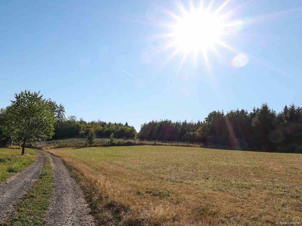 Wetter in NRW: Sonne, Schauer und bis 30 Grad