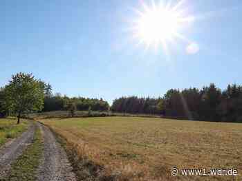 Wetter in NRW: Sonne, Schauer und bis 30 Grad