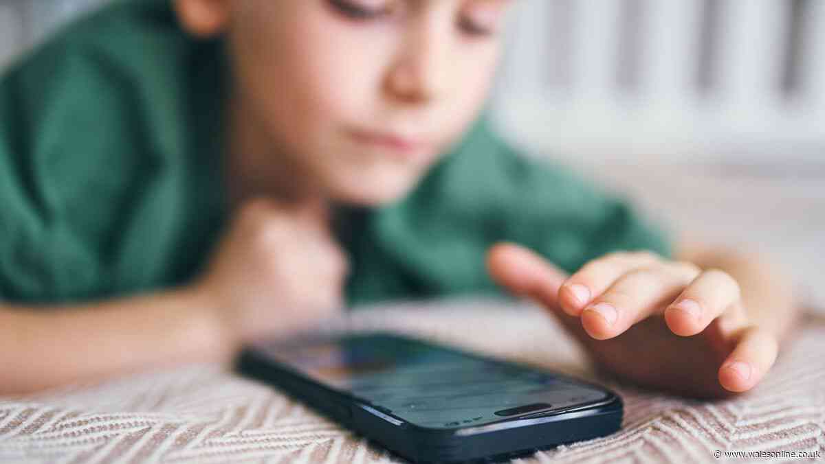 Study shows impact of banning phones until children reach 14