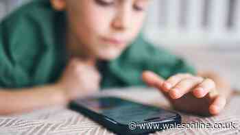 Study shows impact of banning phones until children reach 14