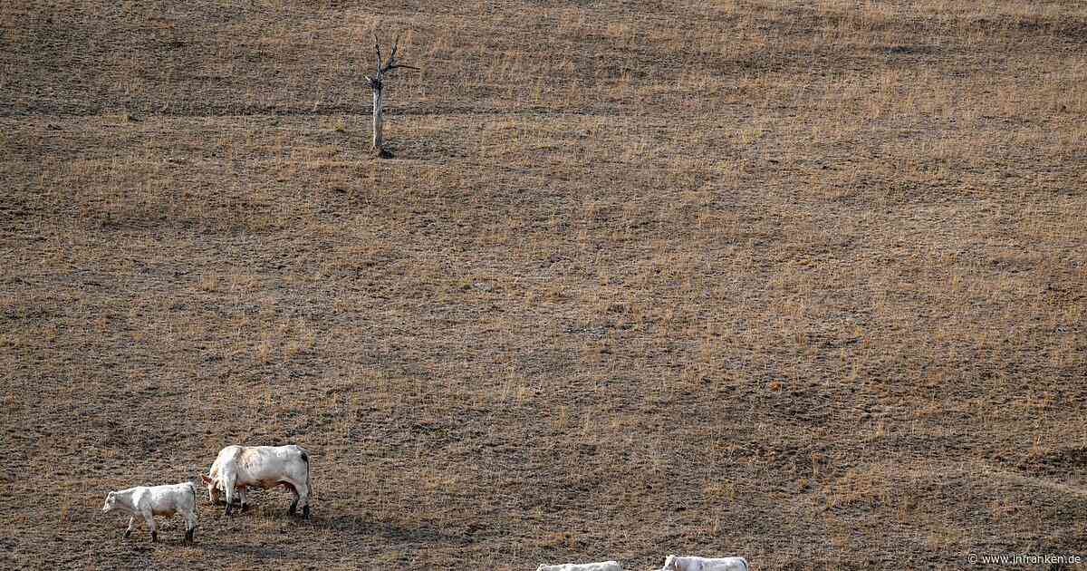 Paris stützt Landwirte nach Dürresommer mit Milliardenhilfe