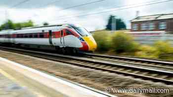 Boy, 12, is killed when car he was in is hit by train at level crossing in Ireland
