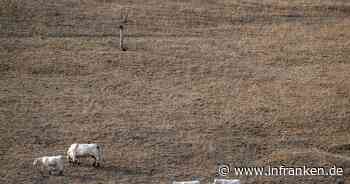 Paris stützt Landwirte nach Dürresommer mit Milliardenhilfe