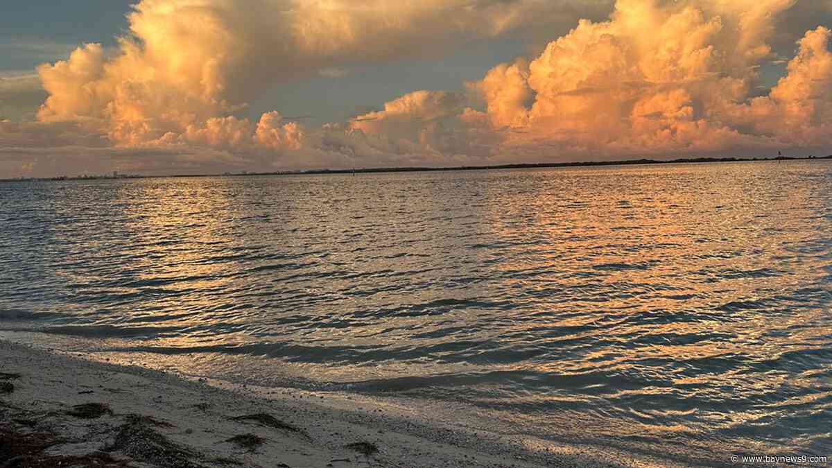 Dunedin votes to ban jet ski launches from Causeway