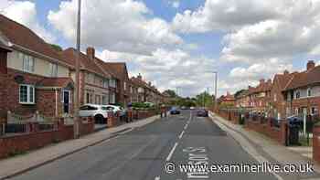 Woman shot with air rifle in Yorkshire village - police statement