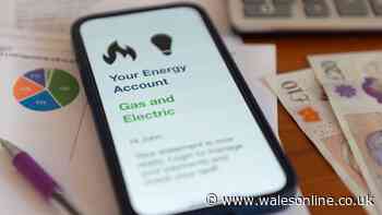 Simple task this September will help cut winter energy bills