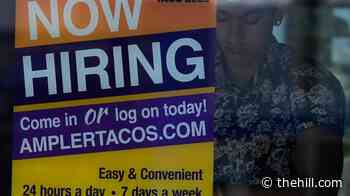 US added 162k jobs in August, blowing past expectations 