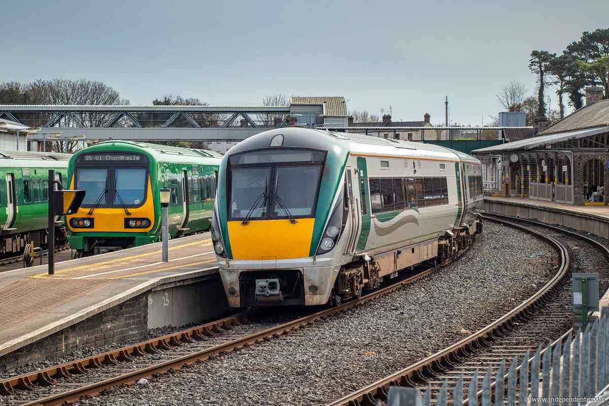 Boy dies after car hit by train on level crossing in Ireland