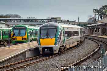 Boy dies after car hit by train on level crossing in Ireland