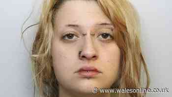 Dog kills teenager and judge admits the sentence seems 'inadequate'