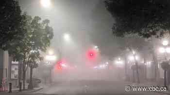 Near-zero visibility expected Friday morning as fog advisory issued for southern Manitoba