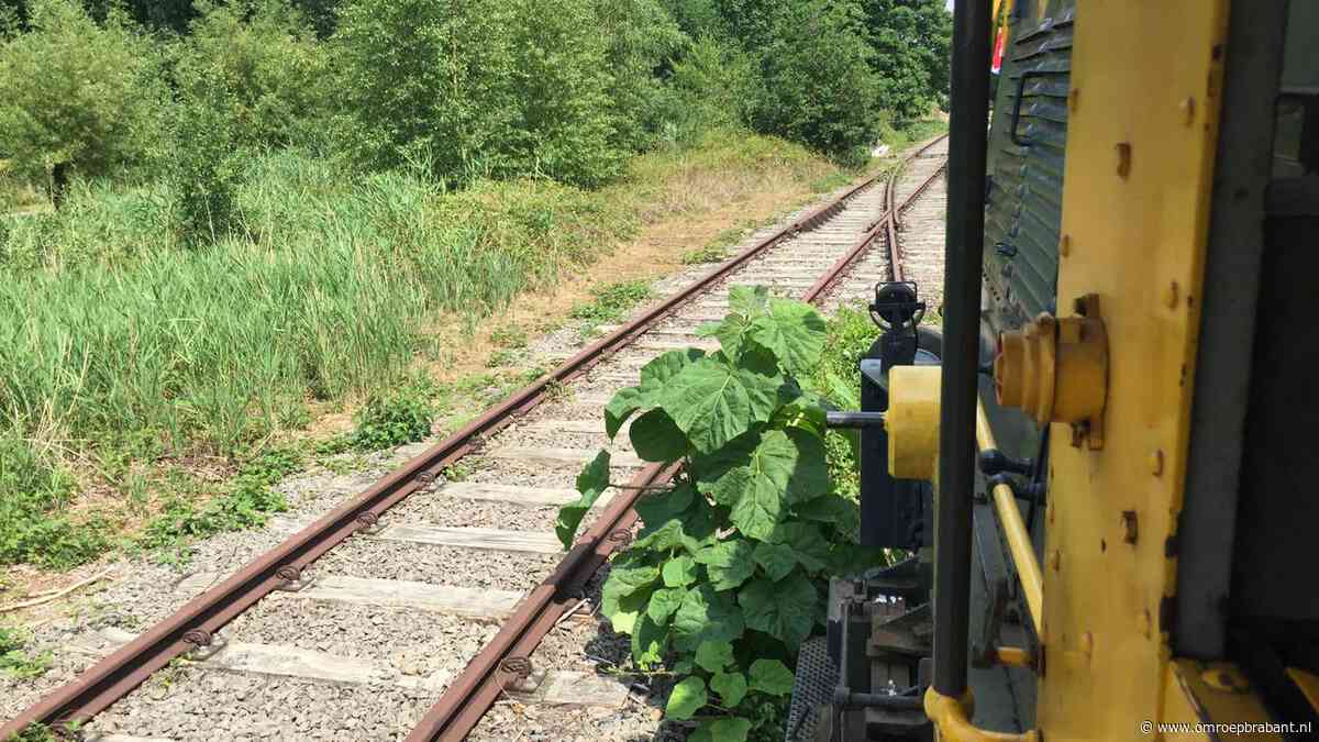 Plan voor treinstation in Uden is nobel, maar volgens expert kansloos