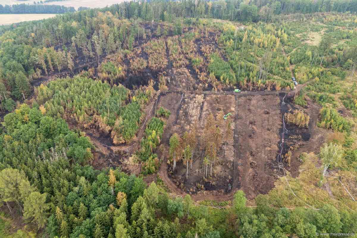 „Schwarzes Holz“ bei Plauen: Betretungsverbot aufgehoben