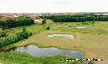 Nieuw natuurgebied bij Egmond: Pollenvlak bloeit op