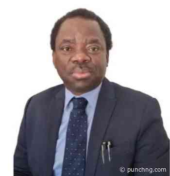Xenophobia: 1,695 Nigerians repatriated from S’Africa, says envoy