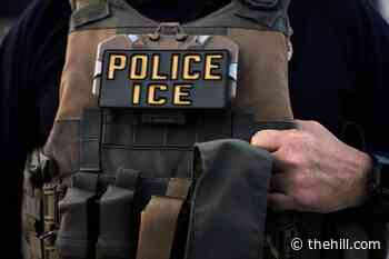 ICE officer charged with lying about shooting turns himself in: Reports