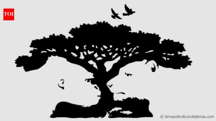 Optical illusion personality test: What you see first reveals your biggest hidden strength