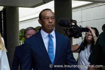 Tiger Woods Loses Driver’s License for Five Years