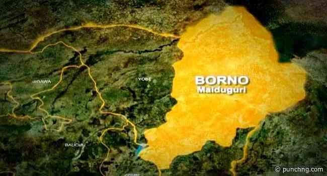 Suspected terrorists attack Borno APC governorship candidate’s convoy