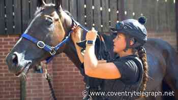Jockey 'couldn't believe it' after first professional win at Chepstow