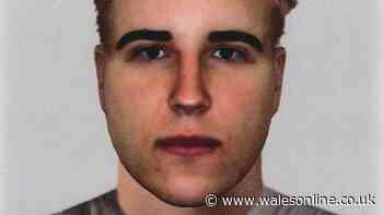 Police investigating sexual assault in Barry release e-fit of suspect