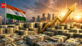 Nearly $750 billion shield: How India built record forex reserves amid the US-Iran war