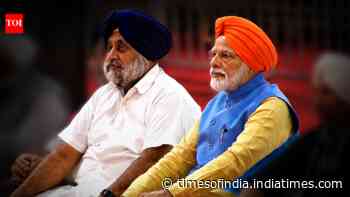 Bargaining tactics? Why BJP's 'solo pitch' in Punjab may have message for Akalis