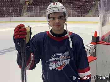 Finally in Windsor, Red Wings prospect Svrcek looks like a piece set to fit nicely in Spitfires' lineup puzzle