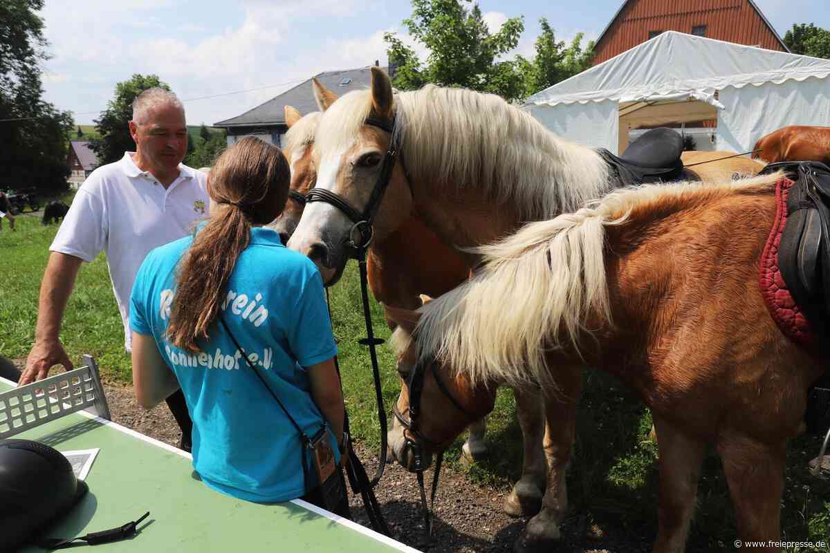 Tiere, Hüpfburg, Fröhlichkeit: Hoffest bei Bauer Rabe in Freiberg