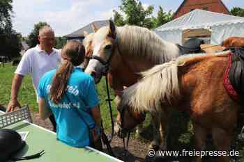 Tiere, Hüpfburg, Fröhlichkeit: Hoffest bei Bauer Rabe in Freiberg