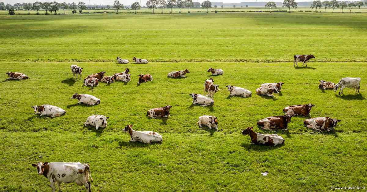 Bezorgd Haaksbergen staat naast eigen boeren en wil met Van Essen in gesprek
