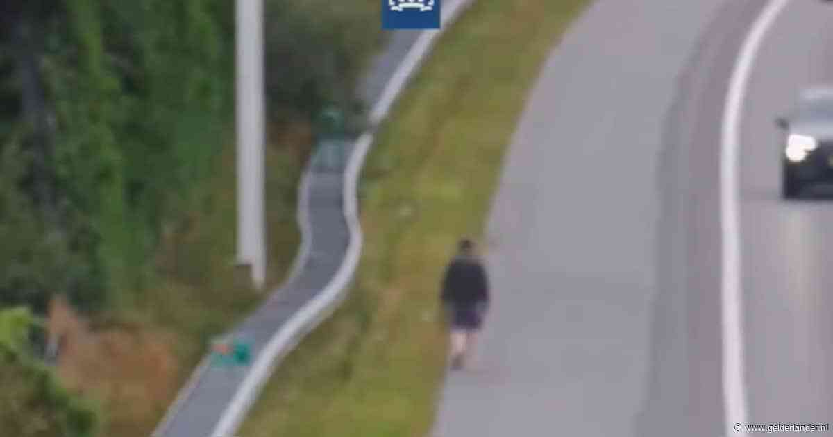 Wandelaar gespot op de vluchtstrook van de A12: ‘Levensgevaarlijk’