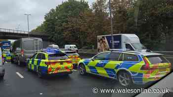 Police bring M4 traffic to a stop before surrounding van