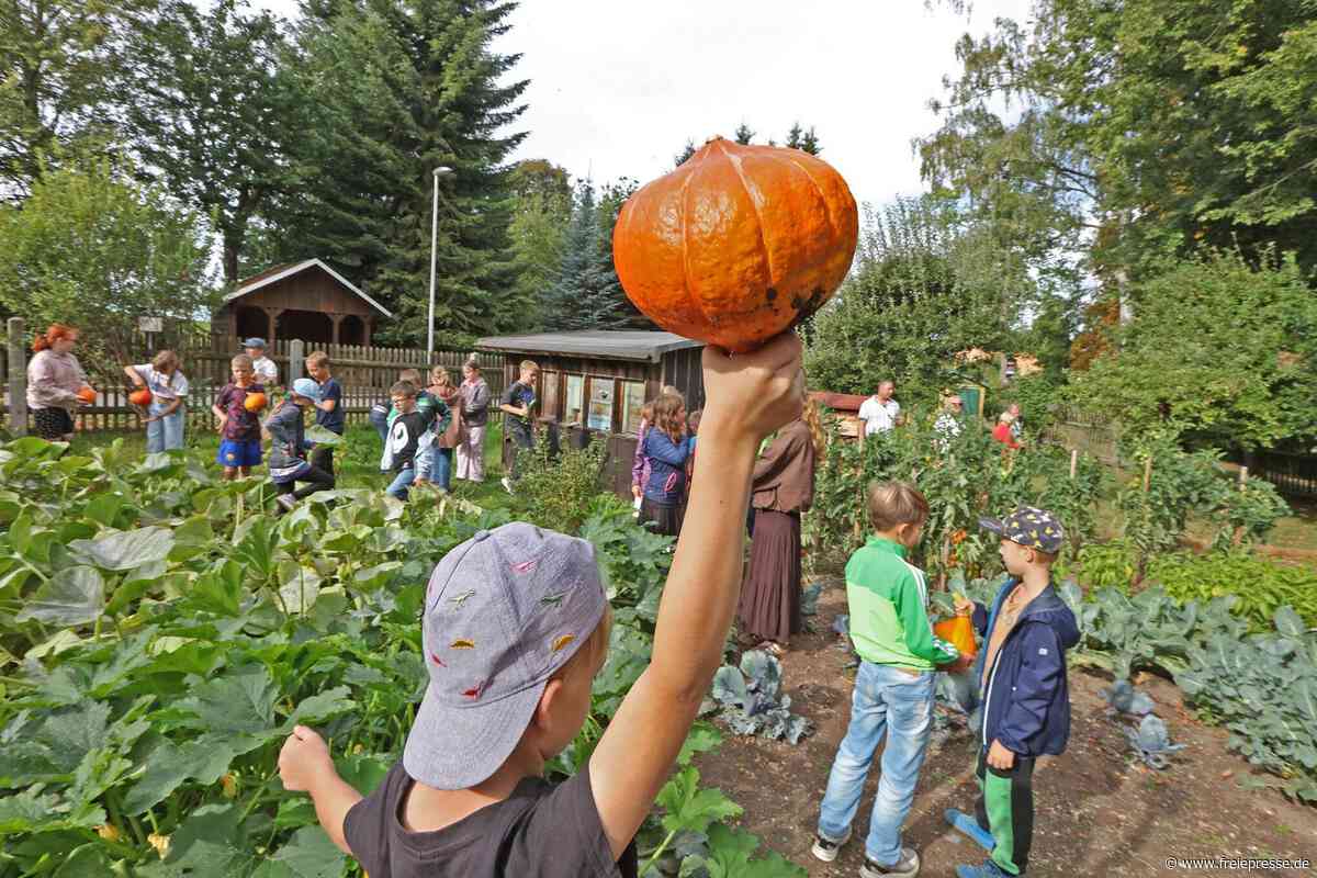 Schulgarten im Museum: In Blankenhain greifen Kinder zum Spaten