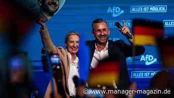 AfD in Sachsen-Anhalt: Wirtschaftspolitisch gefährlich und Rache am Establishment