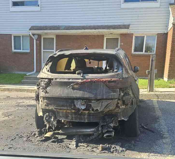Vehicle was deliberately set on fire, according to neighbours - PHOTO GALLERY - UPDATED