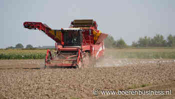 Aardappelteler rekent op coulance van afnemer