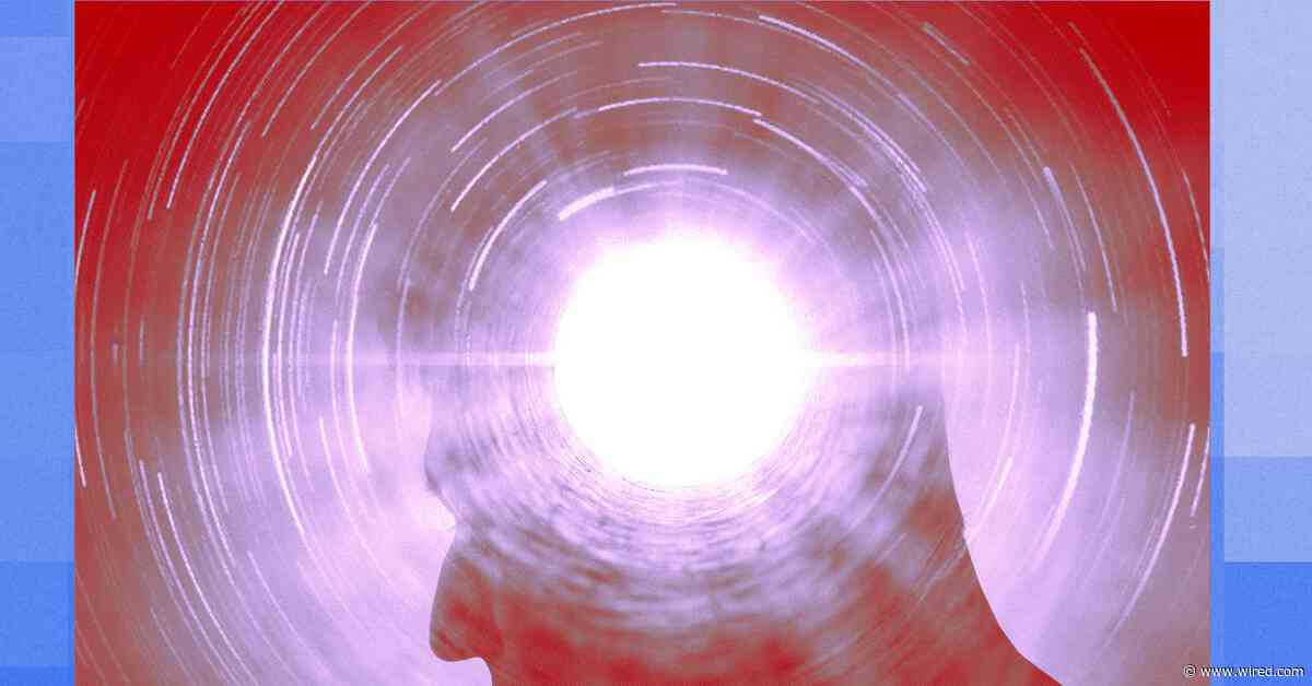 Who Cares if AI Is Conscious—It’s Basically Alive