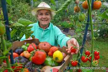 „Tomatenqueen“ zeigt Sortenvielfalt im Schützenhaus Hohenstein-Ernstthal