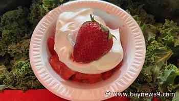 Plant City's Strawberry Festival celebrates 'A Timeless Tradition' ahead of 2027 event