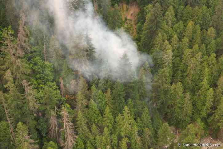 Brunswick Complex wildfires in Fraser Canyon being held