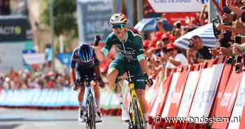 Eindelijk raak voor Wout van Aert in de Vuelta: Belg maakt favorietenrol waar in heuvelachtige rit