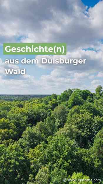 Geschichte(n) aus dem Duisburger Wald