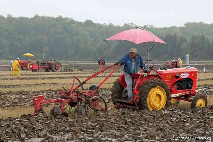 Tradition and competition meet at the Lambton County Plowing Match