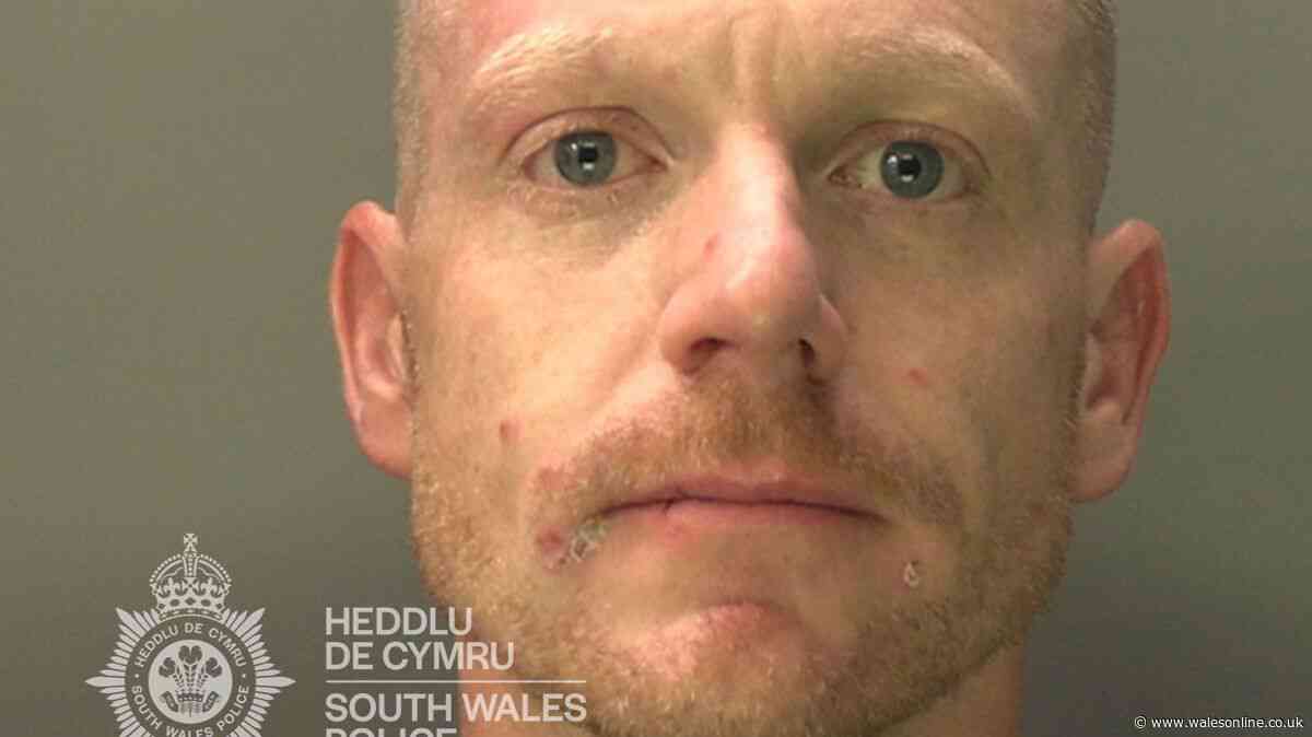 Serial domestic abuser bit partner's ear and repeatedly punched her in horrific assaults