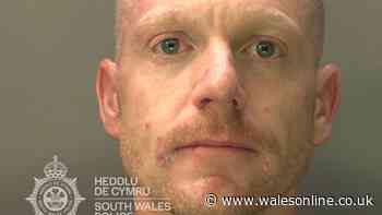 Serial domestic abuser bit partner's ear and repeatedly punched her in horrific assaults