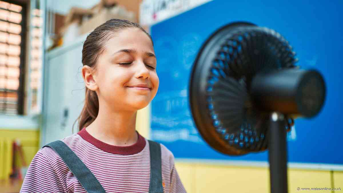 Call for action to keep school exam halls cool during heatwaves
