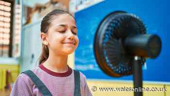 Call for action to keep school exam halls cool during heatwaves