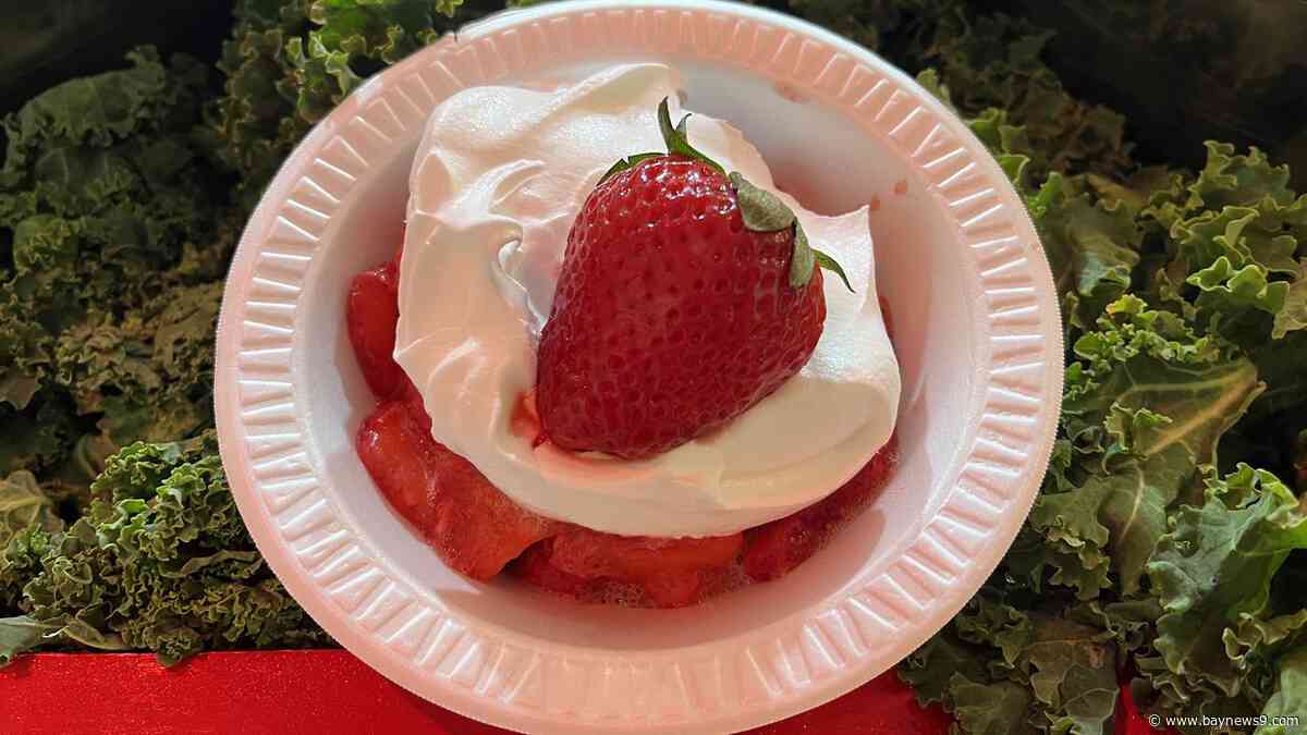 Plant City's Strawberry Festival celebrates 'A Timeless Tradition' ahead of 2027 event